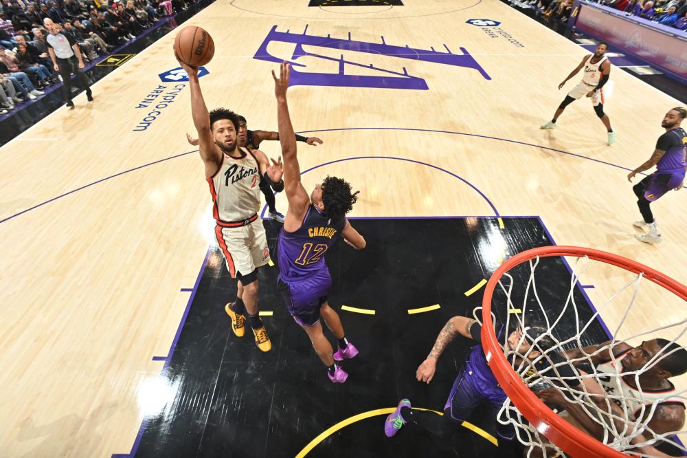 一项数据表 一项数据表